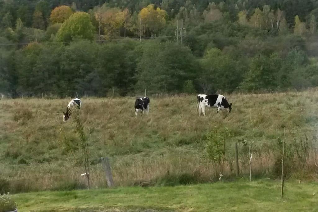 Laegenhet Pa Landet Naera Stan Jonsered Exterior foto